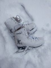 Patine-MAXTAR-marimea-36-alb